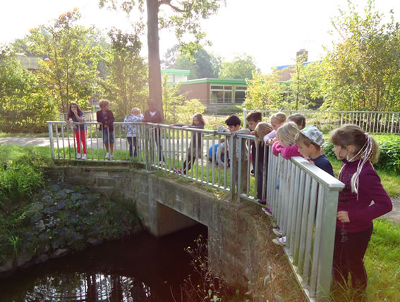 Teich auf dem Außengelände